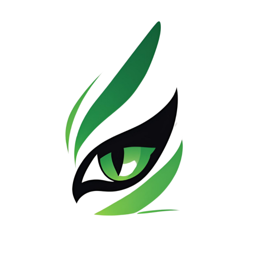 Creations Pro Studio